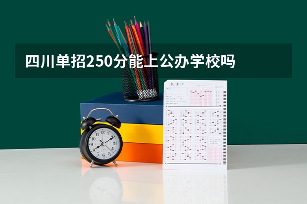 四川单招250分能上公办学校吗