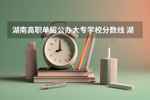 湖南高职单招公办大专学校分数线 湖南单招公办大专学校分数线