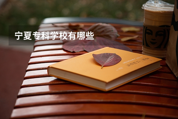 宁夏专科学校有哪些