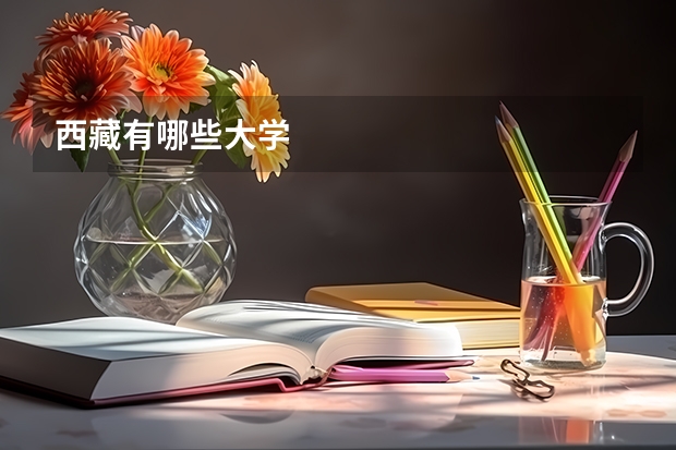 西藏有哪些大学