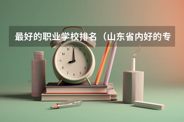 最好的职业学校排名（山东省内好的专科学校排名）
