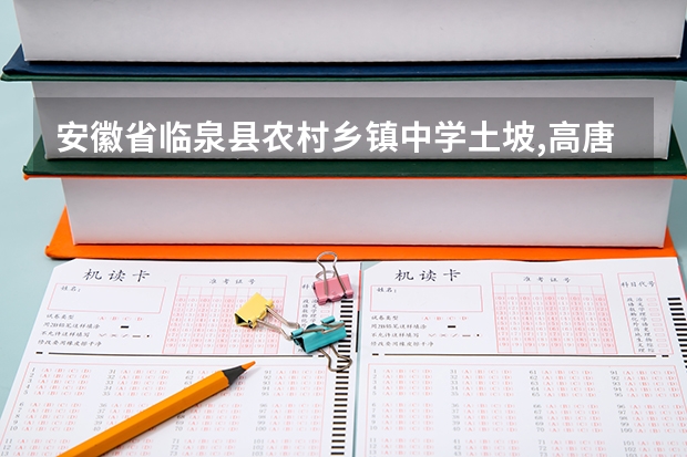 安徽省临泉县农村乡镇中学土坡,高唐两个学校哪个好