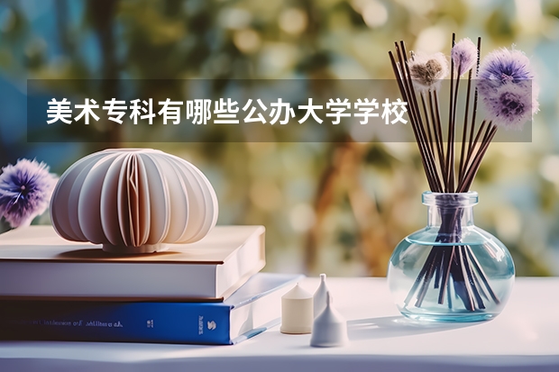 美术专科有哪些公办大学学校