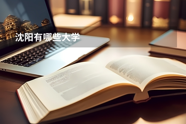 沈阳有哪些大学