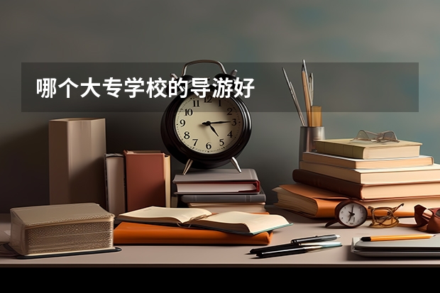 哪个大专学校的导游好