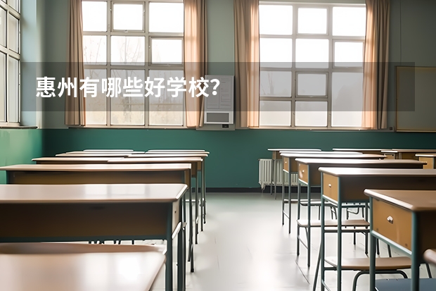 惠州有哪些好学校？