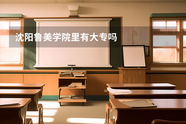 沈阳鲁美学院里有大专吗