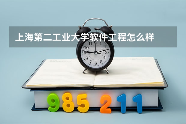 上海第二工业大学软件工程怎么样