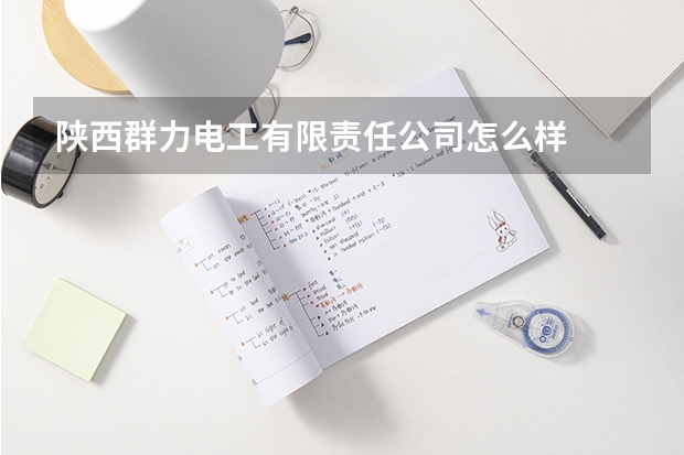 陕西群力电工有限责任公司怎么样