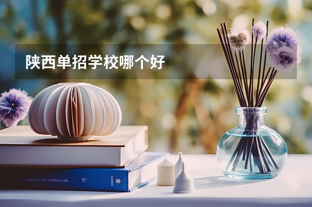 陕西单招学校哪个好