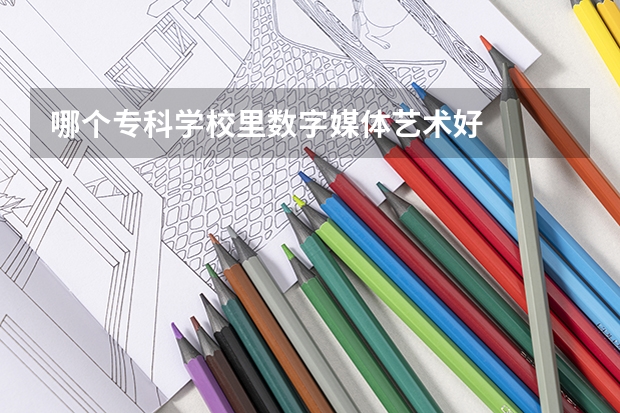 哪个专科学校里数字媒体艺术好