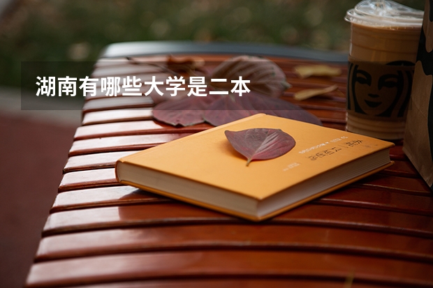 湖南有哪些大学是二本