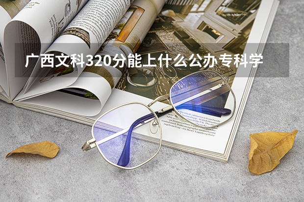 广西文科320分能上什么公办专科学校？