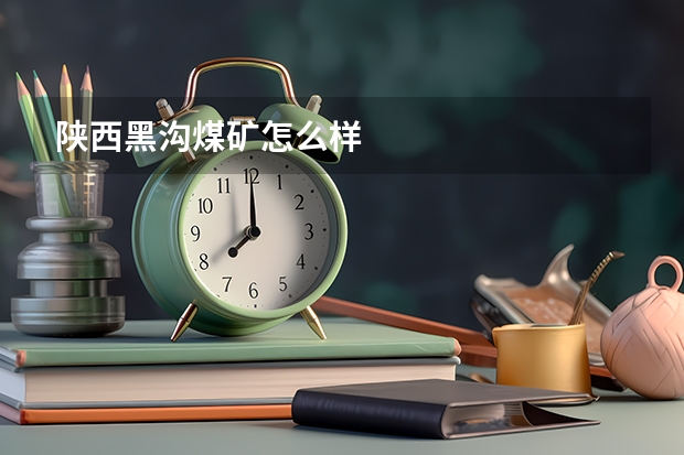 陕西黑沟煤矿怎么样
