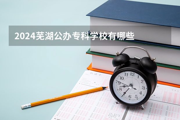 2024芜湖公办专科学校有哪些