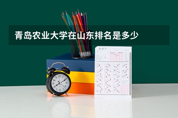 青岛农业大学在山东排名是多少