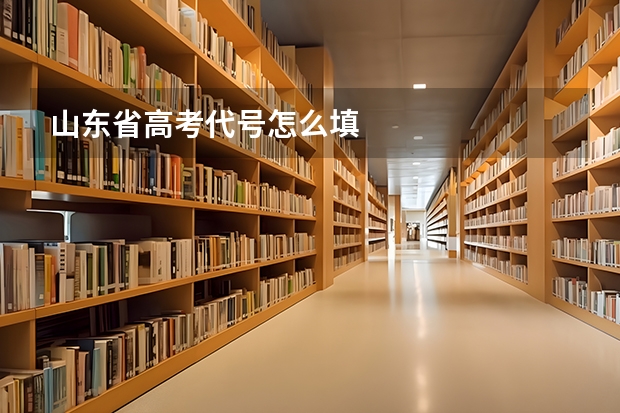 山东省高考代号怎么填