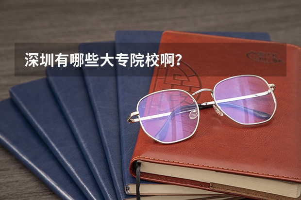 深圳有哪些大专院校啊？