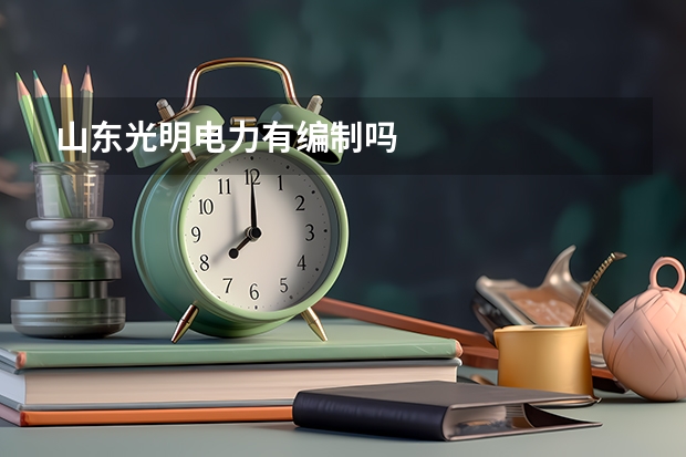 山东光明电力有编制吗
