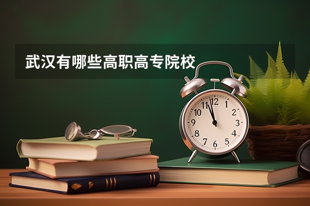 武汉有哪些高职高专院校