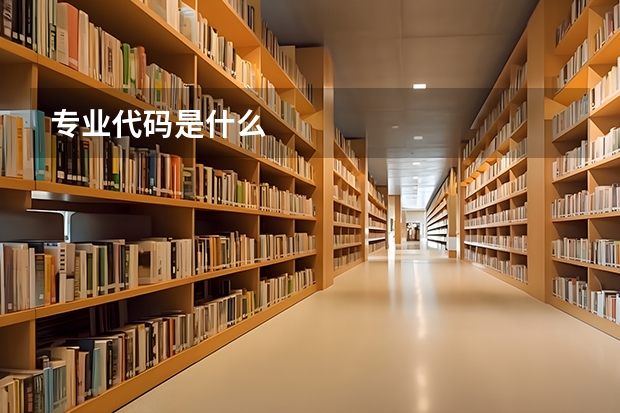专业代码是什么