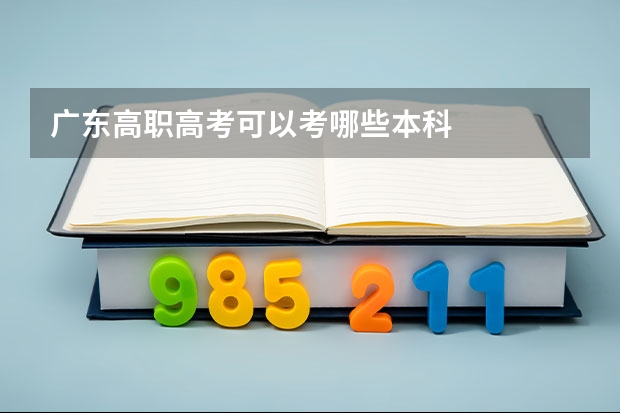 广东高职高考可以考哪些本科