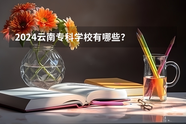 2024云南专科学校有哪些?