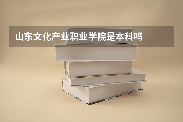 山东文化产业职业学院是本科吗