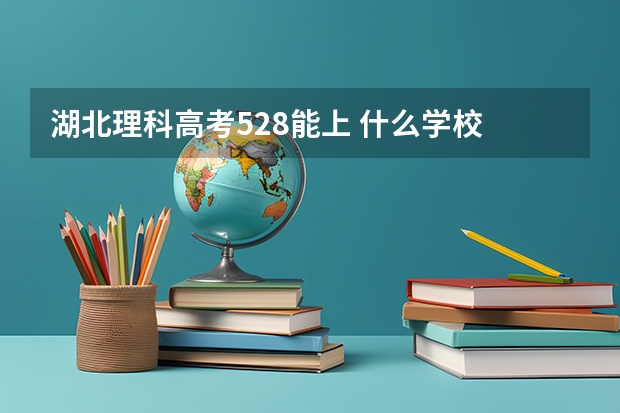 湖北理科高考528能上 什么学校
