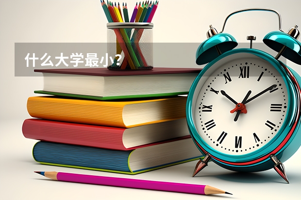 什么大学最小？