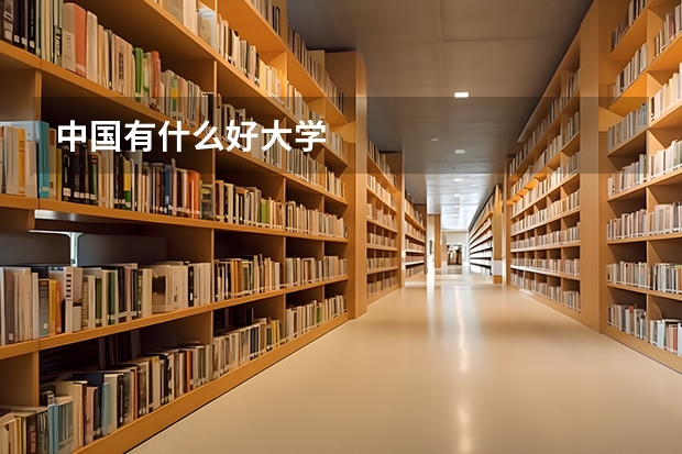 中国有什么好大学