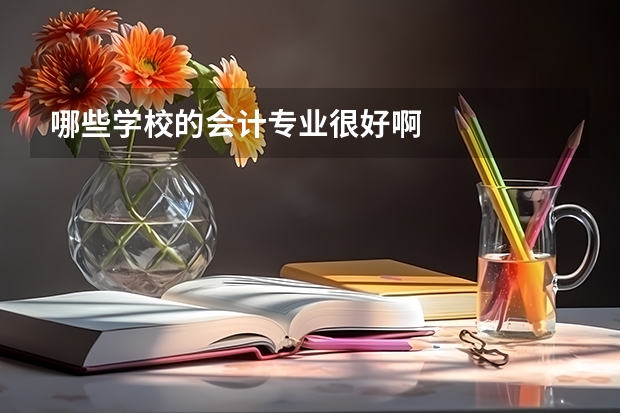 哪些学校的会计专业很好啊
