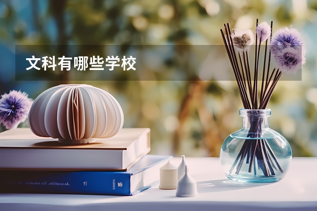 文科有哪些学校