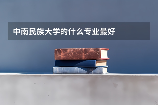 中南民族大学的什么专业最好